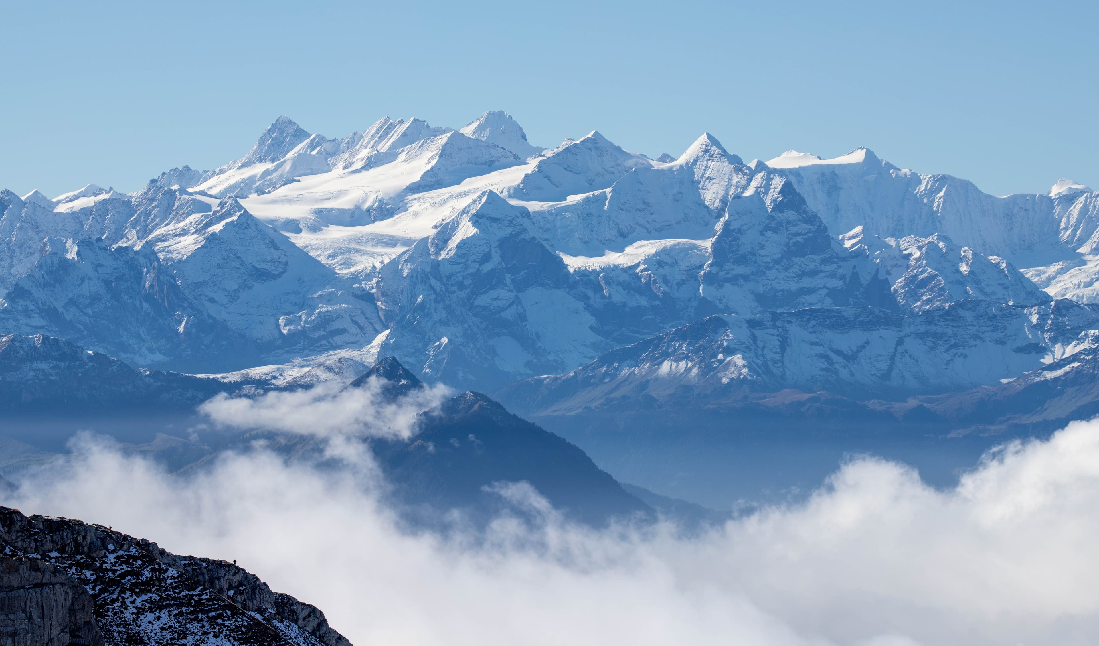Alpine Highs